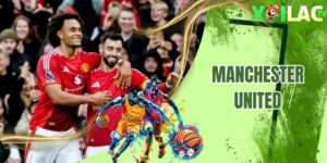 Manchester United Lịch Sử Hoạt Động Và Những Thành Tích Nổi Bật